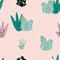 Succulents, cactuses and other plants growing in florariums