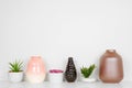 Group of various potted succulent plants and vase home decor in a row on white shelf against a white wall
