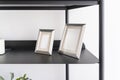 Home decoration, empty silver small portrait frames, blank canvas, picture mock up, living room shelf