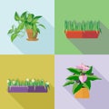 Home decorative flowers icons set Royalty Free Stock Photo