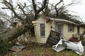Home destroyed by falling tree
