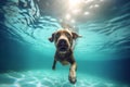 funny dog puppy fun snorkeling pool swimming vacation water underwater. Generative AI. Royalty Free Stock Photo