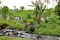 Home at the edge of the rainforest, Fijian house in tropical garden with Royalty Free Stock Photo