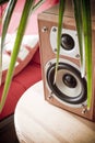 Home entertainment speaker Royalty Free Stock Photo
