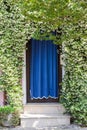 Home entrance covered with blooming plants