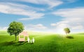 Home with family icons and green green trees locate on grass natural meadow field Royalty Free Stock Photo