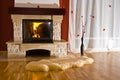 Home fireplace and rug Royalty Free Stock Photo