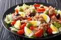 Home fish nicoise salad of tuna, anchovies, eggs and vegetables Royalty Free Stock Photo