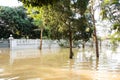 Home flooding. Water over yard and tree. Royalty Free Stock Photo