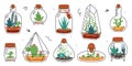 Home Florarium with Plant in Glass Transparent Vessel Vector Set