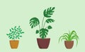 Pot plants set. Green flowerpots at home