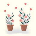 Home flowers, plants in a pot. Calm spring or summer floral romantic illustration, home atmosphere. Vector cartoon hand