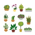 Home flowers and plants in pots,set of cartoon nature icons or elements