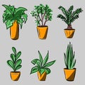 Home flowers in pots. Different types of plants in vases. The interior and decor. Vector isolated