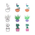 Home flowers in pots. Vector Illustration