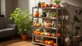 Home food storage room. Various jars with Home Canning Fruits and Vegetables jam on shelves. Royalty Free Stock Photo