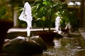 home fountain shoot with the help of nice golden hour light