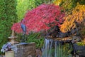 Home Garden Backyard Fall Colors by Waterfall Pond Royalty Free Stock Photo