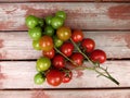 Semi - ripe round red tomatoes in a bunch