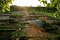 Home garden cultivated according to the principle of permaculture. Royalty Free Stock Photo