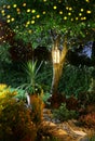 Home garden festive illumination lights Royalty Free Stock Photo