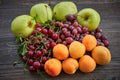 Home garden harvest in the summer Royalty Free Stock Photo