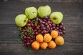 Home garden harvest in the summer Royalty Free Stock Photo