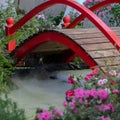 Home garden with small pond and bridge arch, selective focus Royalty Free Stock Photo