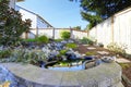 Home garden with small pond Royalty Free Stock Photo