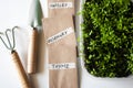 Home garden tools for planting, paper bags with seeds of parsley, thyme, rosemary. pot with young sprouts Royalty Free Stock Photo