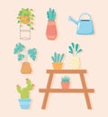 Home gardening, collection of potted plants watering cand and cactus Royalty Free Stock Photo