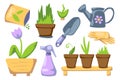 Home gardening set with plats in pots. Spring gardening vector clipart on white background. Garden hobby icon