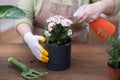 home gardening skilled gardener. flower watering spray, gardening tools, and repotting techniques