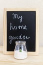 Home gardening. A small prickly green cactus grows in a glass jar in the sand on the wooden table