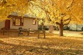 A home with a golden autumn front yard