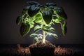 home growing greens plant under lights Generative AI Royalty Free Stock Photo