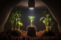 home growing greens plant under lights Generative AI Royalty Free Stock Photo