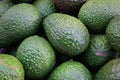 Home-grown hass avocados background Royalty Free Stock Photo