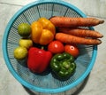 Home grown organic fresh colorful vegetables kept in a basket Royalty Free Stock Photo