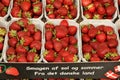 Home grown strawberry in danish capital Copenhgen