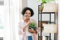 woman decorating home with flower or houseplant Royalty Free Stock Photo