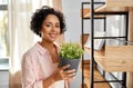 woman decorating home with flower or houseplant Royalty Free Stock Photo