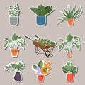 Home indoor plants and flowers in pots, stickers. Gardening, garden cart with beautiful flowers, different flowers and plants in