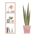 Home interior design, furniture for office or living room. Isolated bookcase with shelves, photo frame, table lamp with