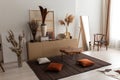 Home interior with ethnic boho decoration, living room in brown warm color Royalty Free Stock Photo