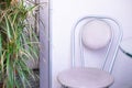 Home interior of the kitchen - a chair and a green indoor flower of dracaena