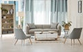 Home interior, luxury living room and modern house with sofa, chairs and plants in the room. Clean, minimal and elegant Royalty Free Stock Photo