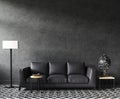 Home interior mock-up with sofa and decor, black stylish loft living room