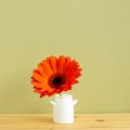 Home interior. Orange gerbera flower in vase on wooden table with khaki background Royalty Free Stock Photo