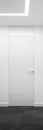 Vertical panorama of elegant white door Royalty Free Stock Photo
